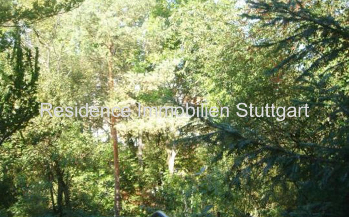 Bick ins Gruene - Immobilien Stuttgart