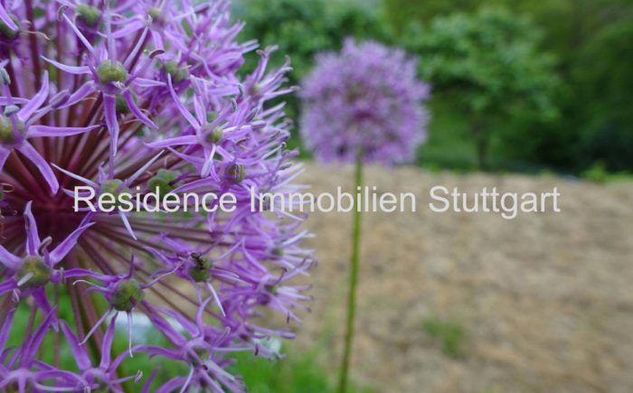 Gartengrundstück Stuttgart Rosenberg