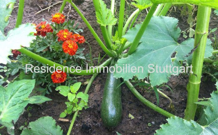 Gartengrundstück Stuttgart Rosenberg