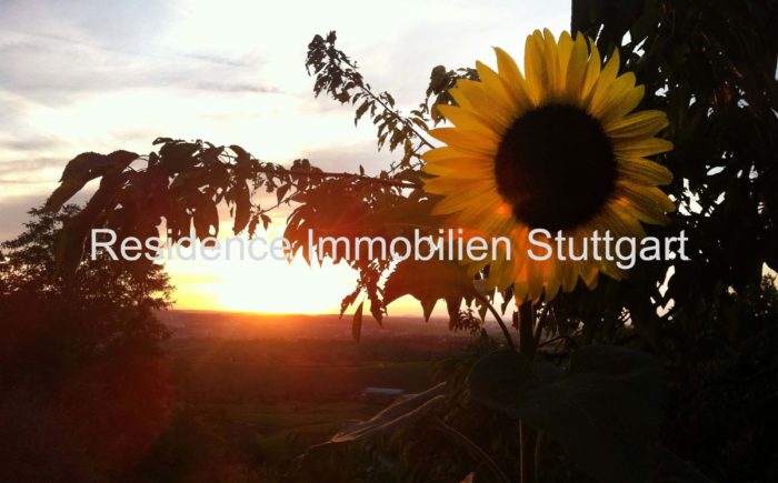 Gartengrundstück Stuttgart Rosenberg