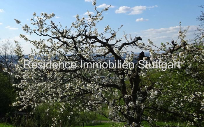 Gartengrundstück Stuttgart Rosenberg